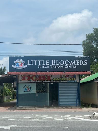 Little Bloomers Speech Therapy Centre