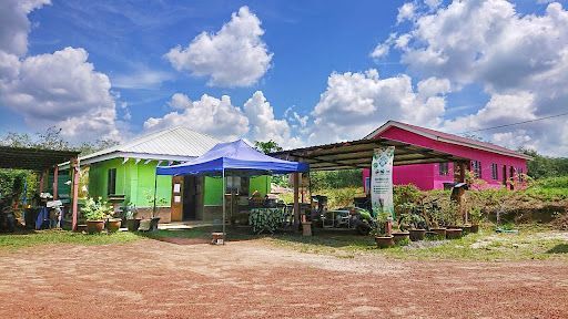 Perubatan Islam Nur Syifa