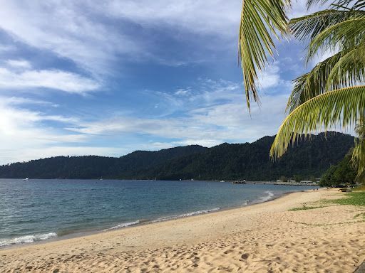 Terapi Carakerja Terbaik di Kampung Tekek